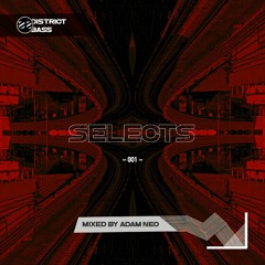 DistrictBass Selects #001 - mixed by Adam Neo