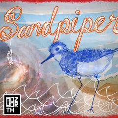 Sandpiper