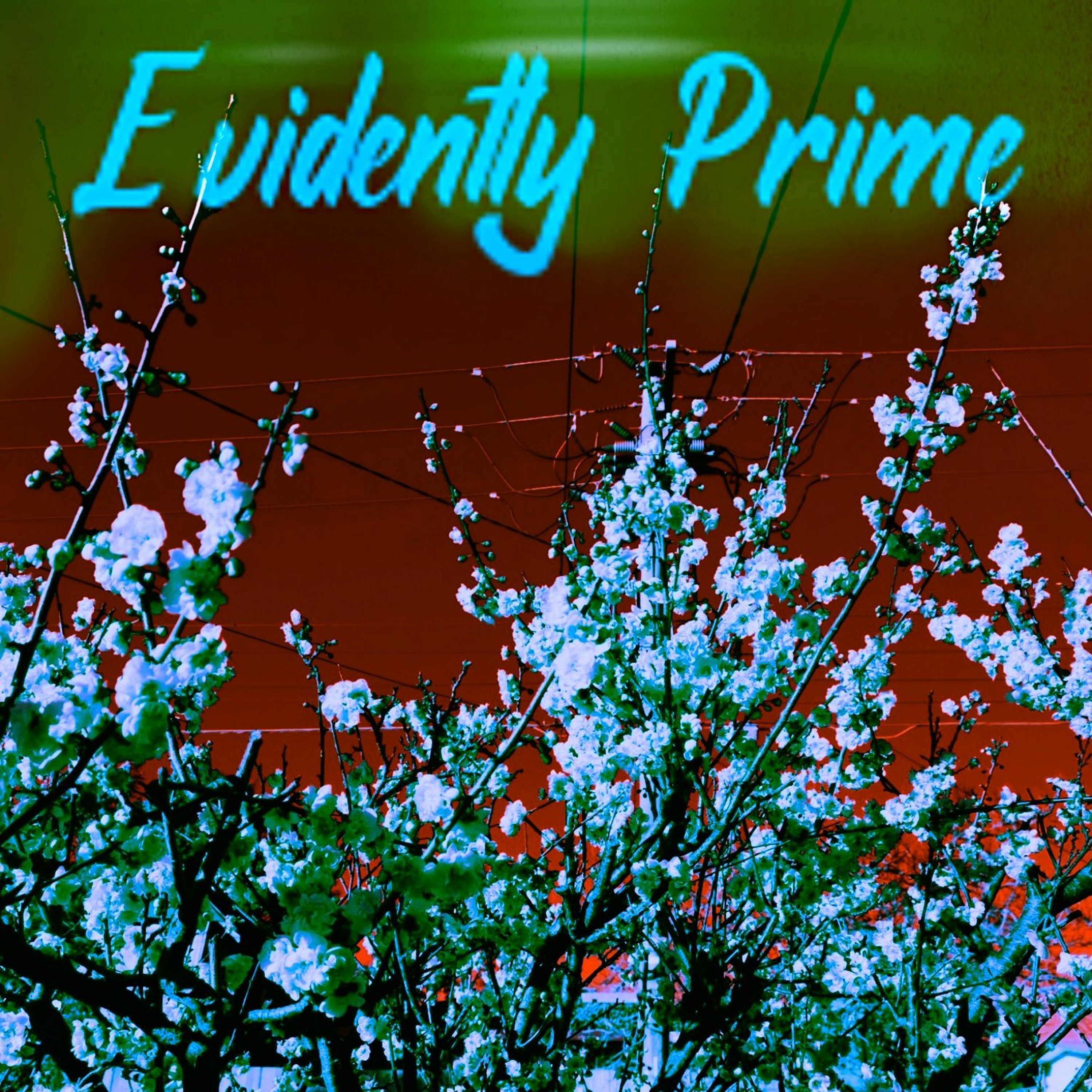 Evidently Prime episode artwork