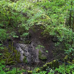 Hydrophone recording. Schindergraben, Egling, Upper Bavaria, Germany