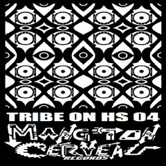 Disakortex - Tek Vibes (Tribe On Hs 04) MTC Records