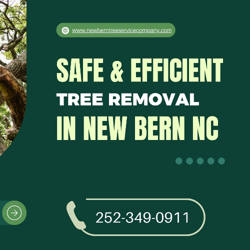Tree Removal2 New Bern NC - A&H Precision Tree Service LLC