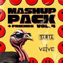 BARTA, VEIVE & Friends Mashup Pack Vol. 4