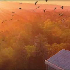 Greenio Tape 4 Original The End Music