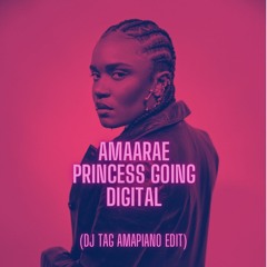 Amaarae - Princess Going Digital (DJ TAG Amapiano Edit)
