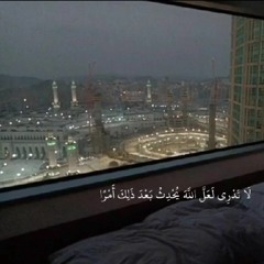 هُوَ ٱلَّذِیۤ أَنزَلَ ٱلسَّكِینَةَ فِی قُلُوبِ ٱلۡمُؤۡمِنِینَ | عمر هشام العربي 🤍🌿  - سورة الفتح "