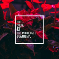 The Sound Of Organic House & Downtempo Vol.9 Mixed by Kurt Kjergaard