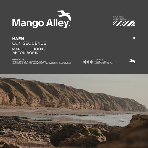 HAEN The Insignificance Of It All (Chook Remix)