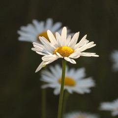 Summer ain't canceled.