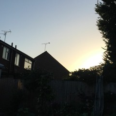 Homecoming Birds And Bells