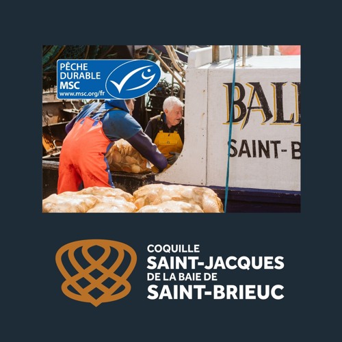 L'écolabel MSC : le choix d'une pêche durable