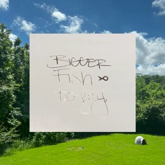 bigger fish to fry (prod. efi)