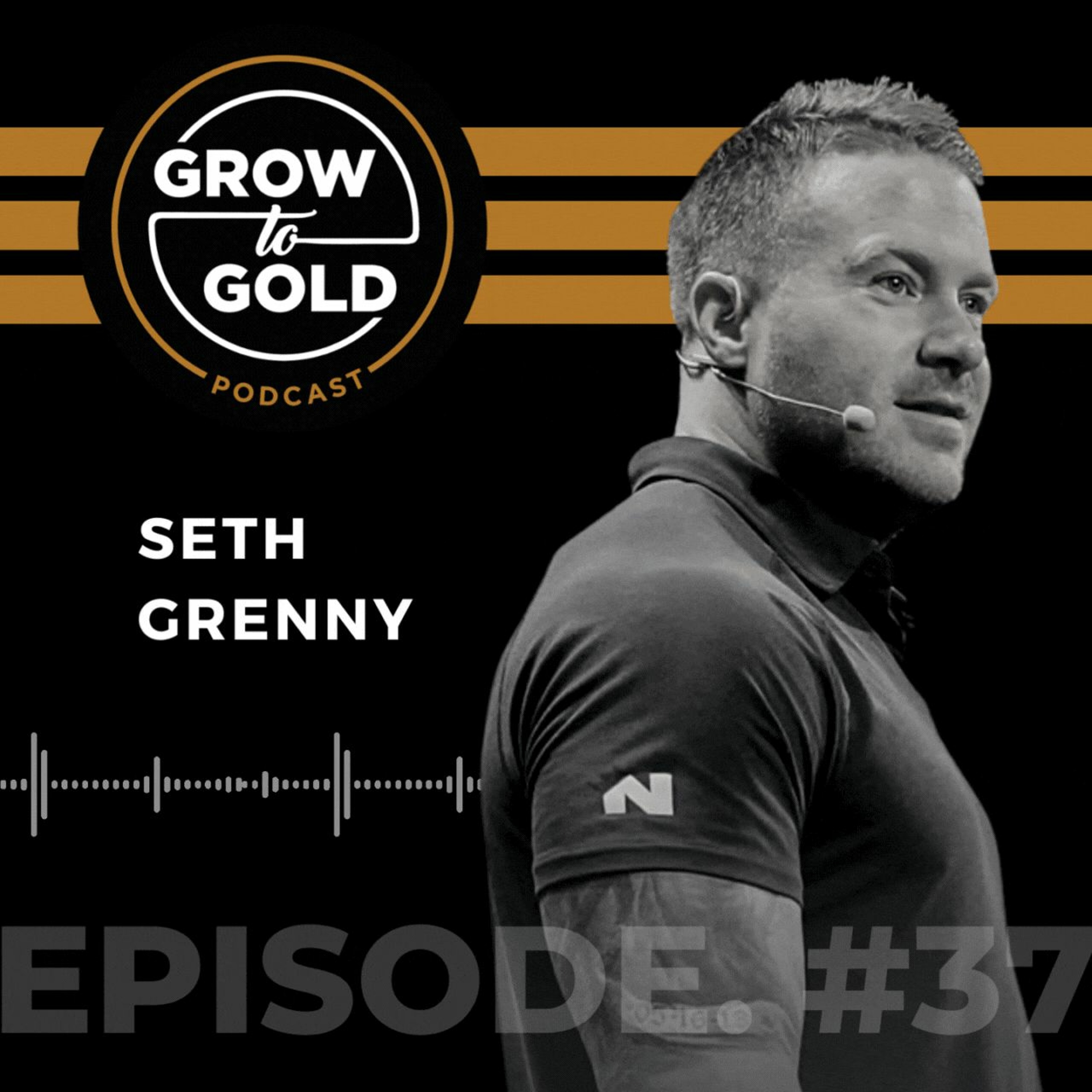 Episode #37: Seth Grenny - How to build a massive division while remaining unapologetically yourself episode artwork
