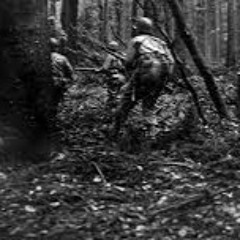 Episode 156 - Battle of Hurtgen Forest Part 2: Task Force Dick Ripple