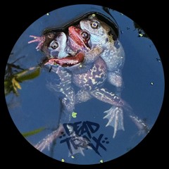 Lo Chi "Dead Man's Switch EP" (DDTX005) *clips*