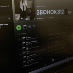 Восемь рыл