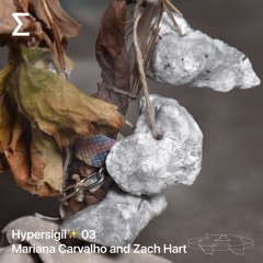 Hypersigil✨ 03 w/ Mariana Carvalho and Zach Hart