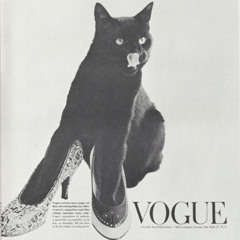 The Crimes of the Black Cat