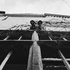 Corded Caged Chord [disquiet0554]