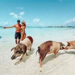 Review Special Price Exuma Swimming Pigs Full Day Boat Tour
