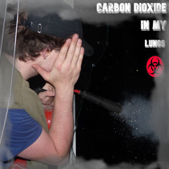 carbon dioxide in my lungs - Asher Ray