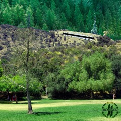 The High Dive (The Hell Out Of Hollywood)