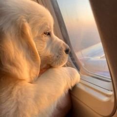 널만나러가는길이야 - Onny