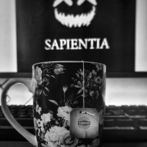 NO T (1st Anniversary)