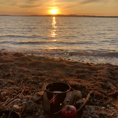 Mäusegrill  Faultier X Yeti