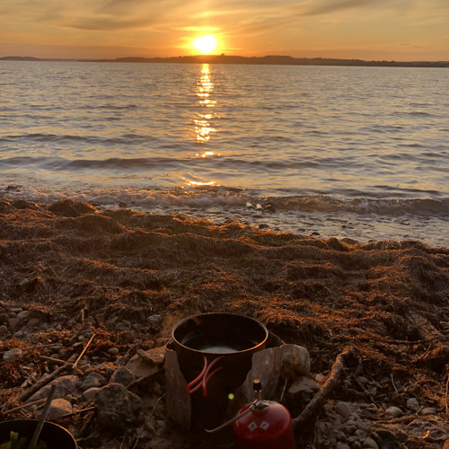 Mäusegrill  Faultier X Yeti