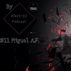 ElectriX Podcast | #11 Miguel A.F.