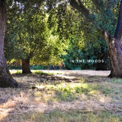 In the Woods