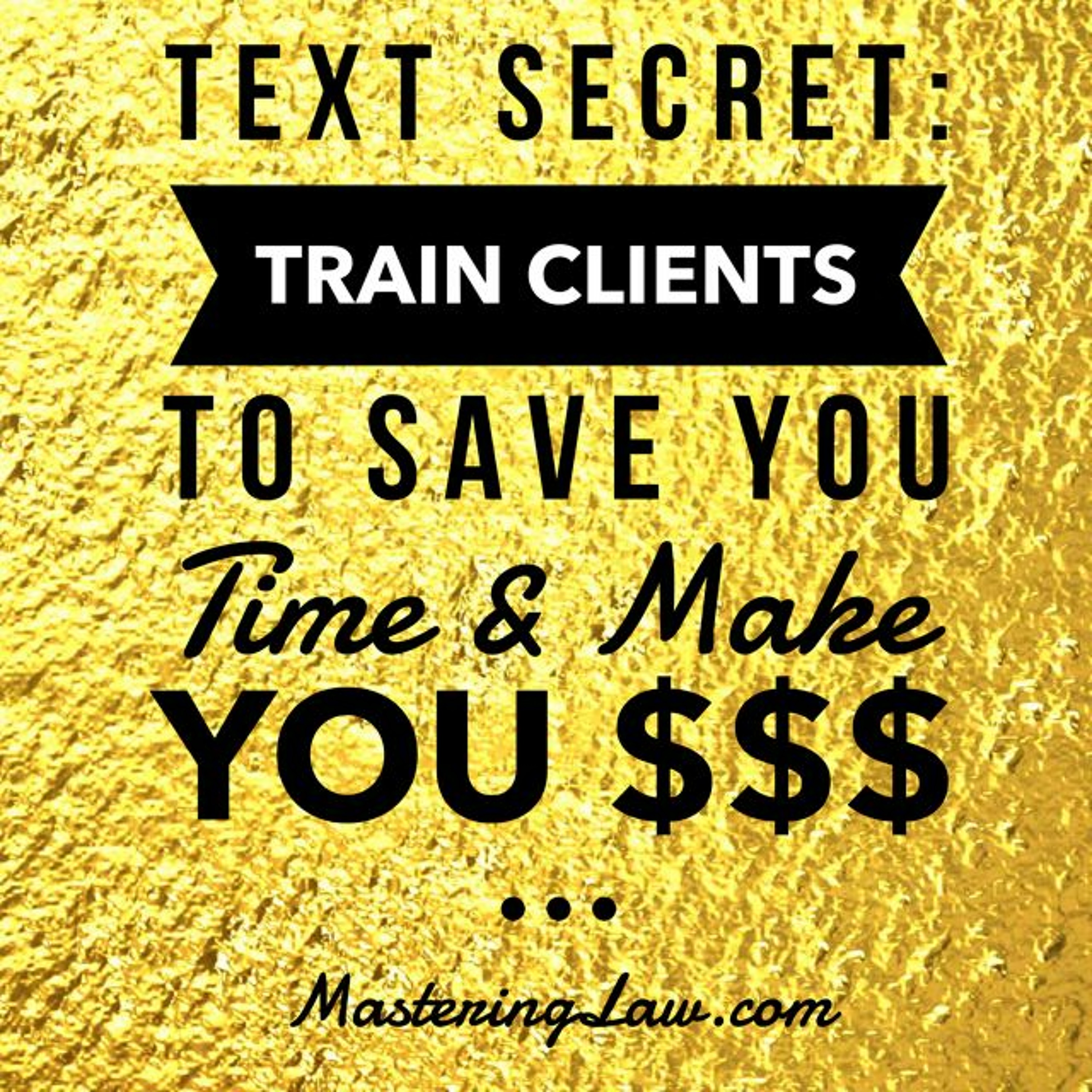 Texting Secrets: Train Your Clients to Save Time & Make You Money