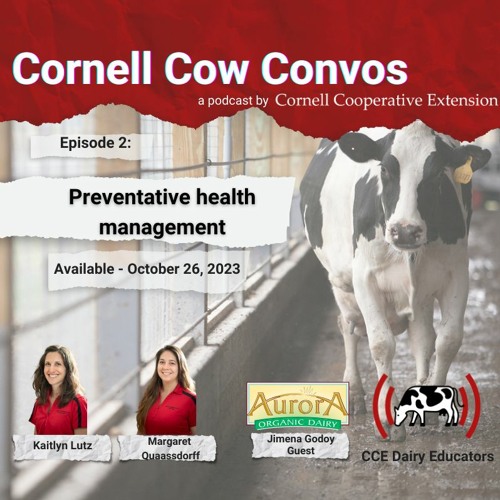 Cornell Cow Convos. E2: Preventative Health Care In Cows