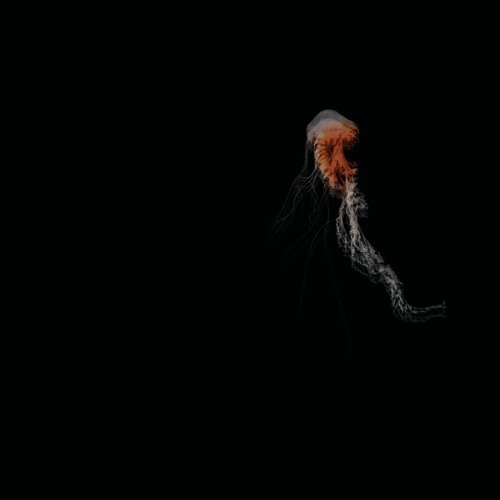 Stream PREMIERE Mjulev Mellow Head [Bandcamp] by