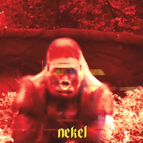 nekel - gorilla