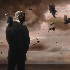 L'ÉTRANGE HISTOIRE DE MR. ANDERSON - MOVIE SOUND