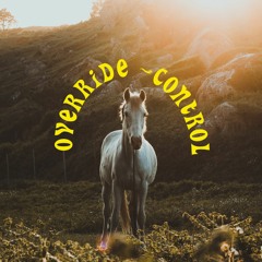 Gordy - Override / Control