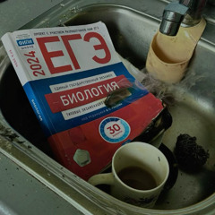 завали ебало шлюха