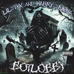 HARRY $NOW & LIL$TYX - BOT LOBBY (PROD. FLOCKABOI)