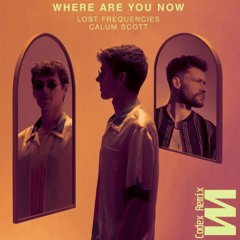 Lost Frequencies ft Calum Scott - Where Are You Now (Codex Remix)