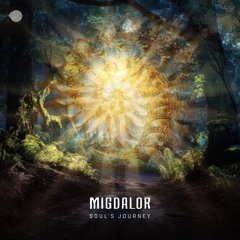 Soul's Journey (Original mix)