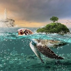 Dj - FrAgRoX : The emotional Turtle