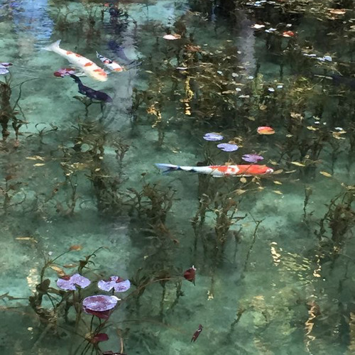 on and on by cartoon :)(slowed)