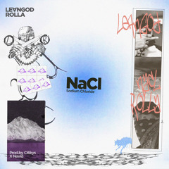 NaCl x LevnGod(Prod.by Ci6kys X Navid)