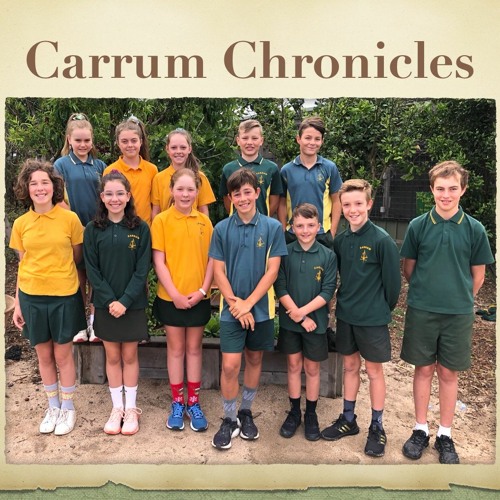 Carrum Chronicles - Interview With David Notnam - Episode 8