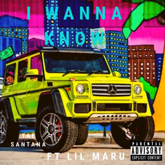i wanna know ft lil maru
