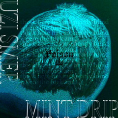 Mint Drip (DEMO)