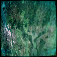 Tread Lightly (13.01.23)