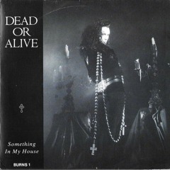 Dead or Alive - Something in My House (Tour Performance Mix)